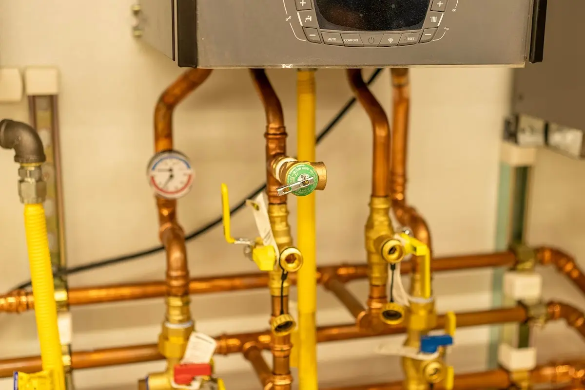 Licensed technician providing Emergency Plumbing for a homeowner in Greenville